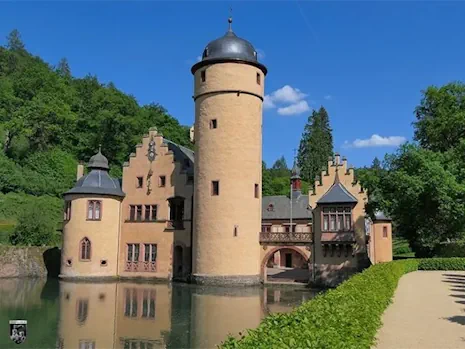 Haushaltsauflösung