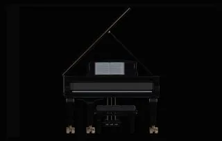 Musikinstrumente Galerie Scholz
